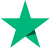 digital-download-store-trustpilot-logo